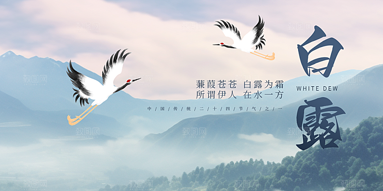 简约风传统白露二十四节气展板