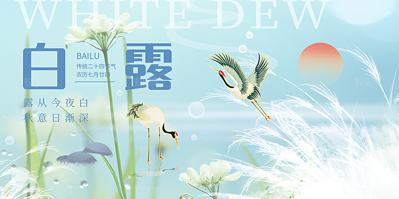 简约风传统白露二十四节气展板