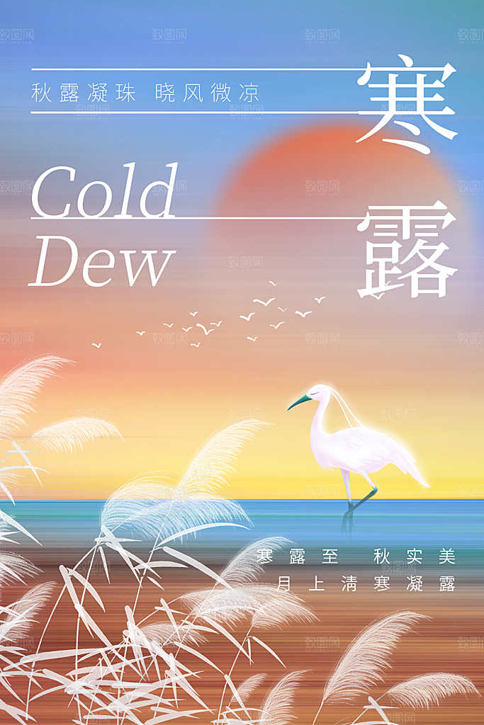 寒露节气简约大气海报