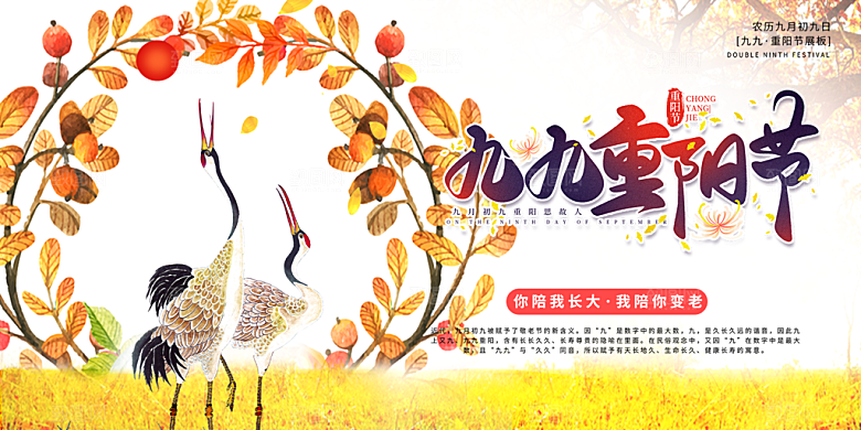重阳节爱老宣传活动展板