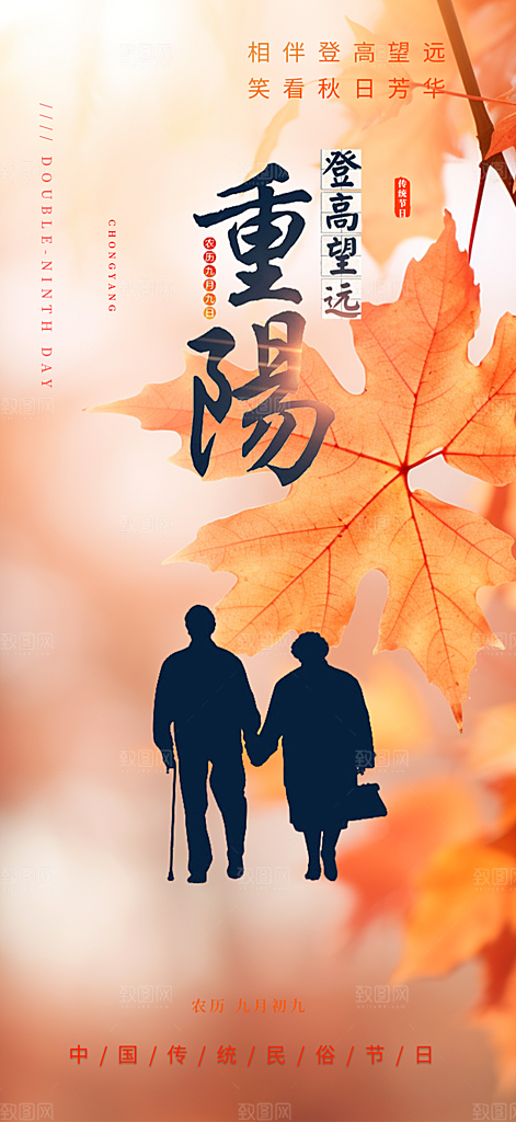 重阳节敬老爱老宣传活动海报