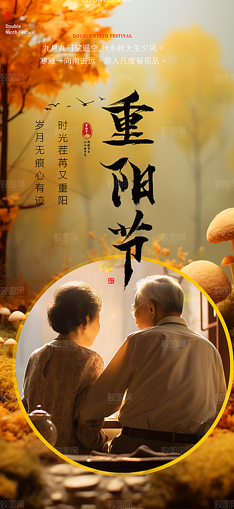 重阳节敬老爱老宣传活动海报