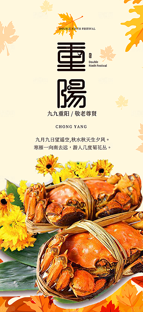 秋日节日重阳节敬老爱老宣传活动海报