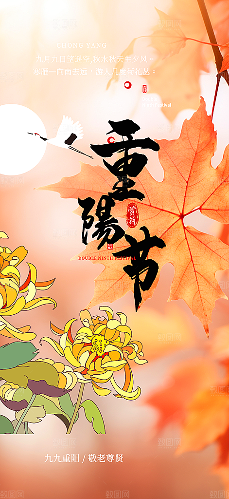 重阳节宣传活动海报
