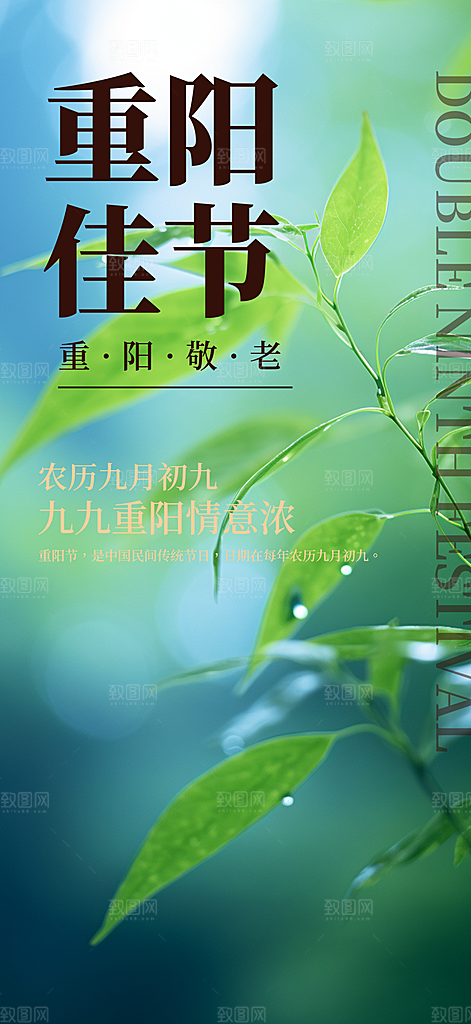 重阳节敬老爱老宣传活动海报