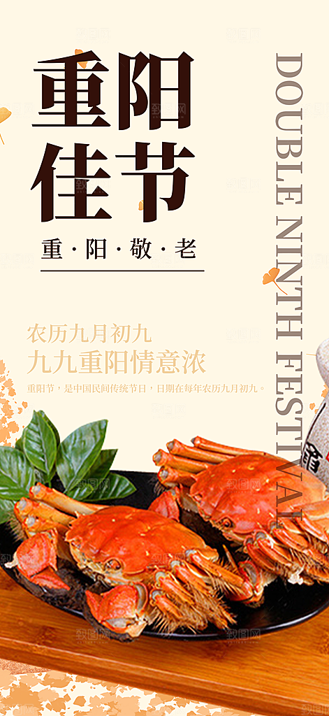 节日重阳节敬老爱老宣传活动海报