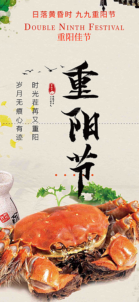 节日重阳节敬老爱老宣传活动海报