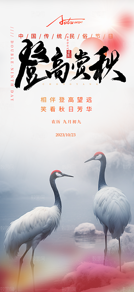 秋日节日重阳节敬老爱老宣传活动海报