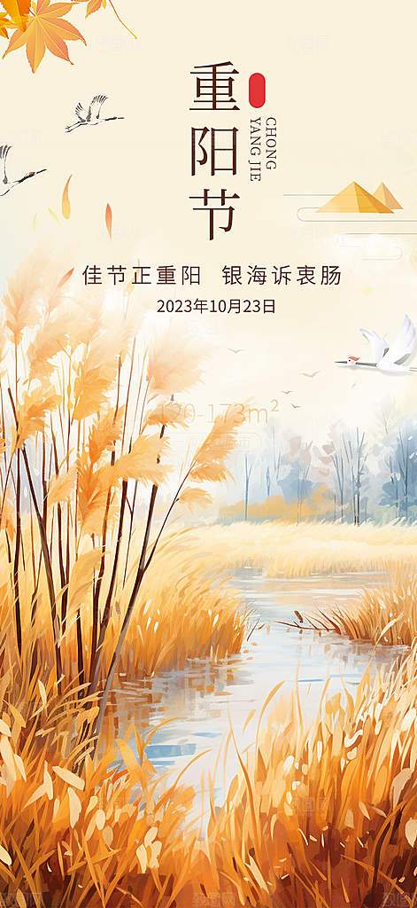 秋日节日重阳节敬老爱老宣传活动海报