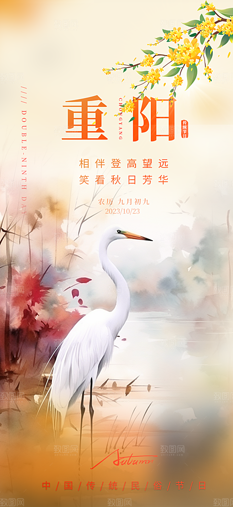 秋日节日重阳节敬老爱老宣传活动海报