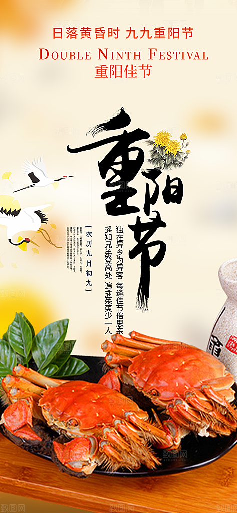 重阳节敬老爱老宣传活动海报