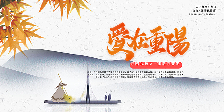 节日重阳节敬老爱老宣传活动展板