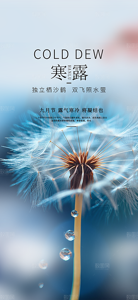寒露二十四节气海报