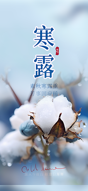寒露二十四节气海报