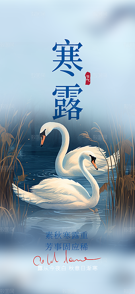 简约风传统寒露二十四节气海报