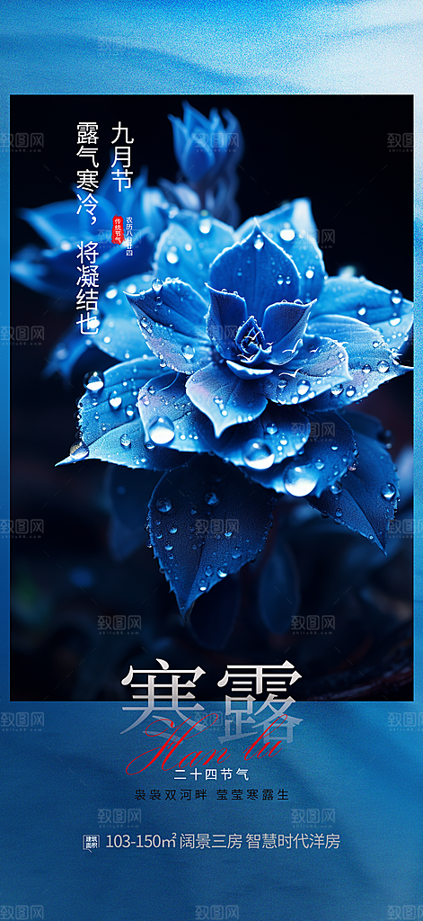 简约风传统寒露二十四节气海报