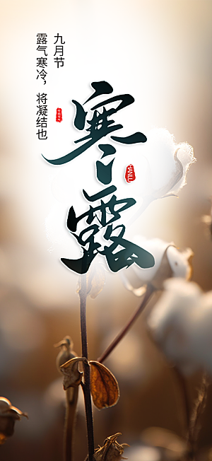 简约风传统寒露二十四节气海报