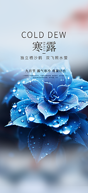 简约风传统寒露二十四节气海报