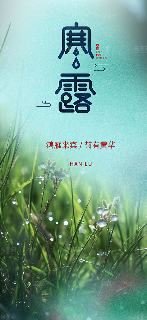 简约风传统寒露二十四节气海报