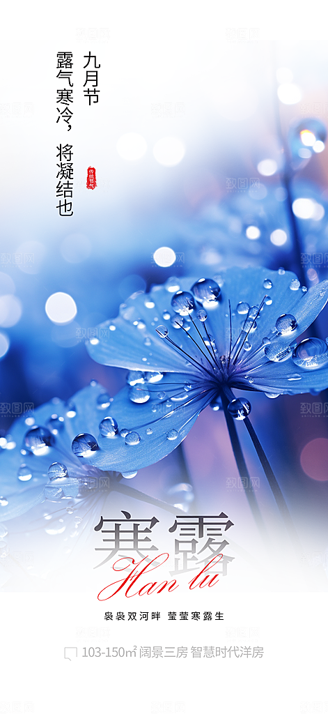 寒露二十四节气海报