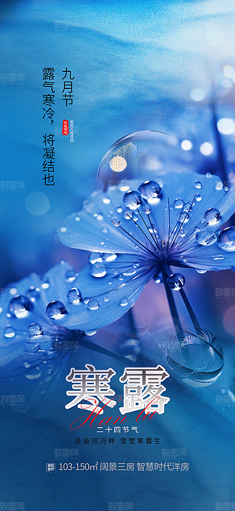 寒露二十四节气海报
