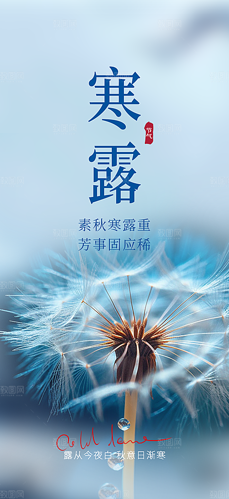 寒露二十四节气海报