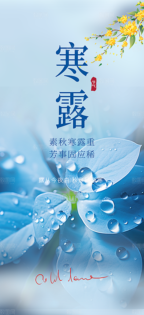寒露二十四节气海报