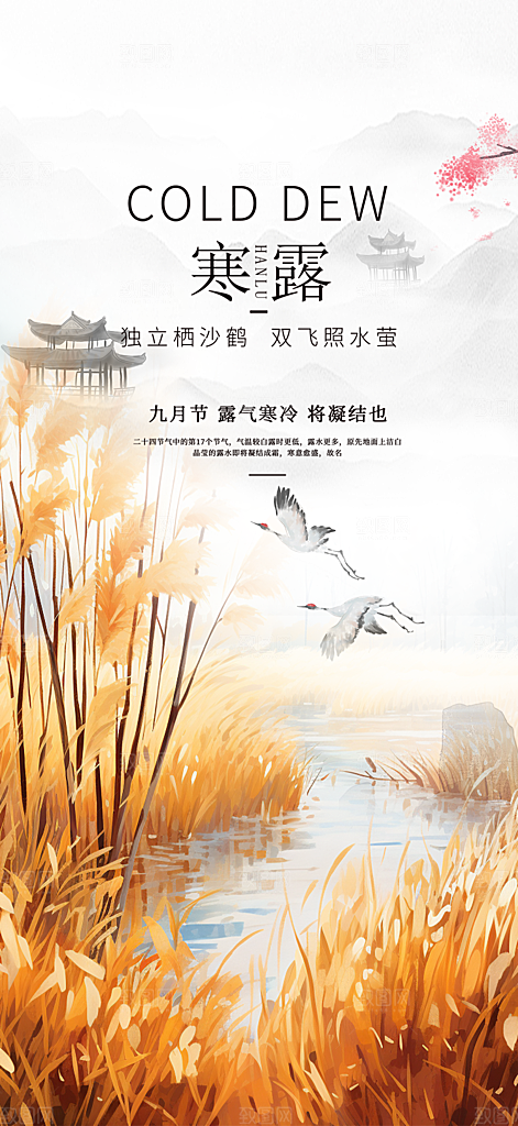 传统寒露二十四节气海报