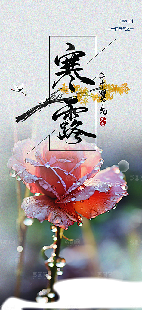 简约风传统寒露二十四节气海报