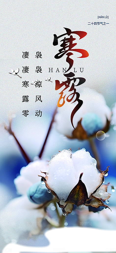 简约风传统寒露二十四节气海报