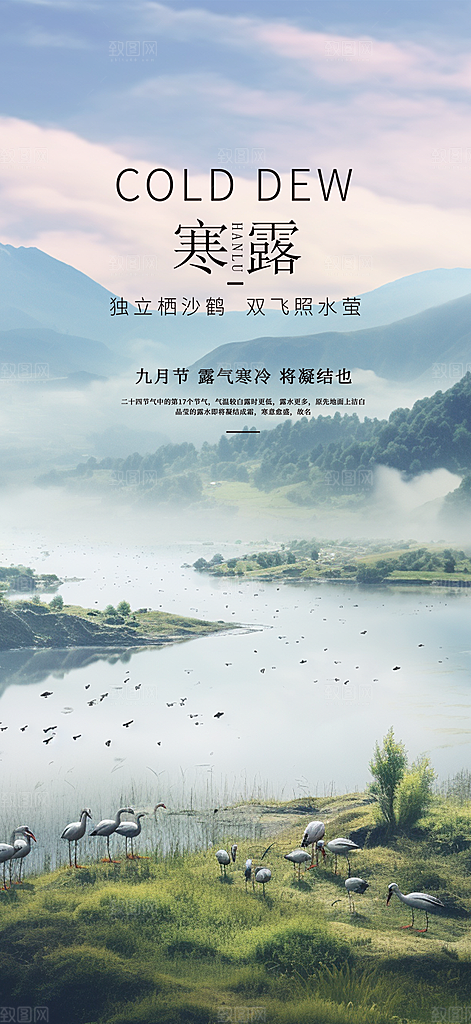 简约风传统寒露二十四节气海报