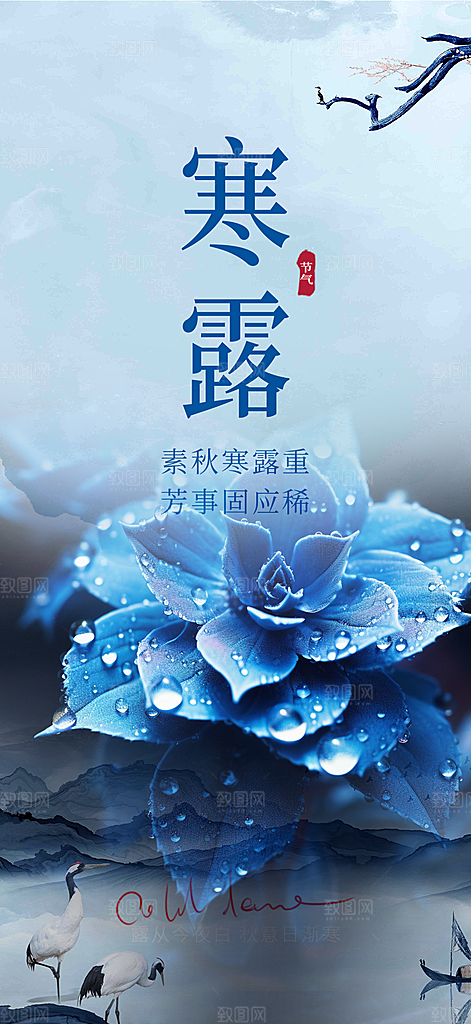 简约风传统寒露二十四节气海报