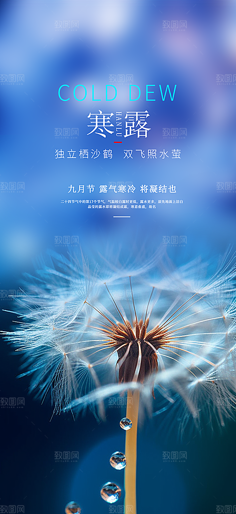 简约风传统寒露二十四节气海报