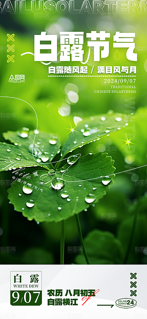 简约风传统白露二十四节气海报