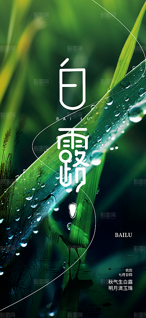 简约风传统白露二十四节气海报