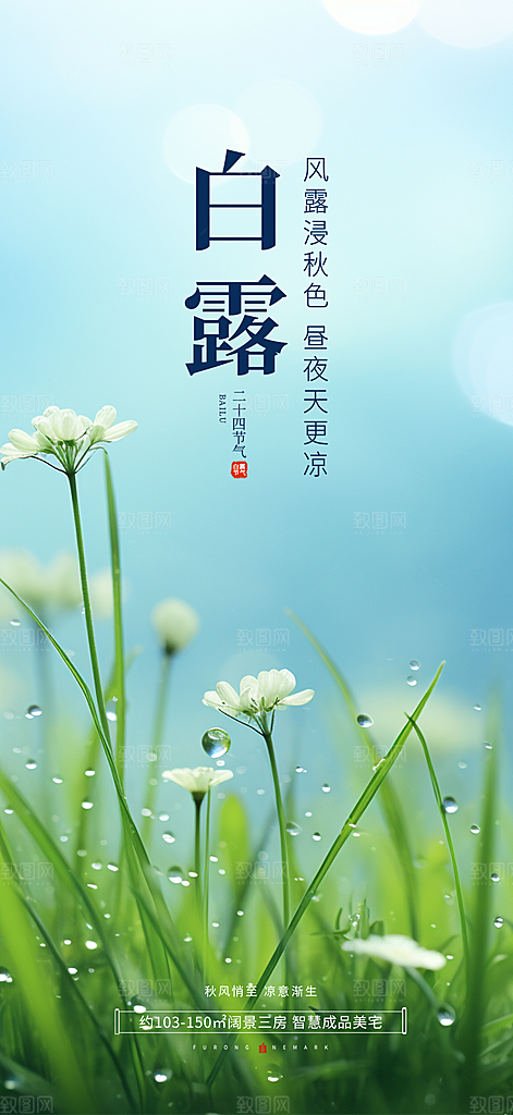 简约风传统白露二十四节气海报