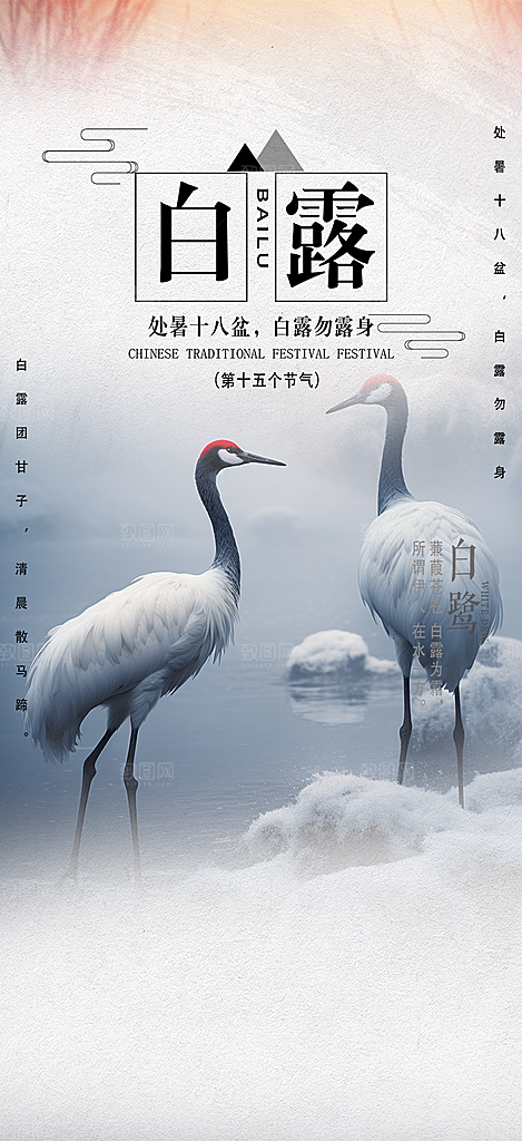 简约风传统白露二十四节气海报