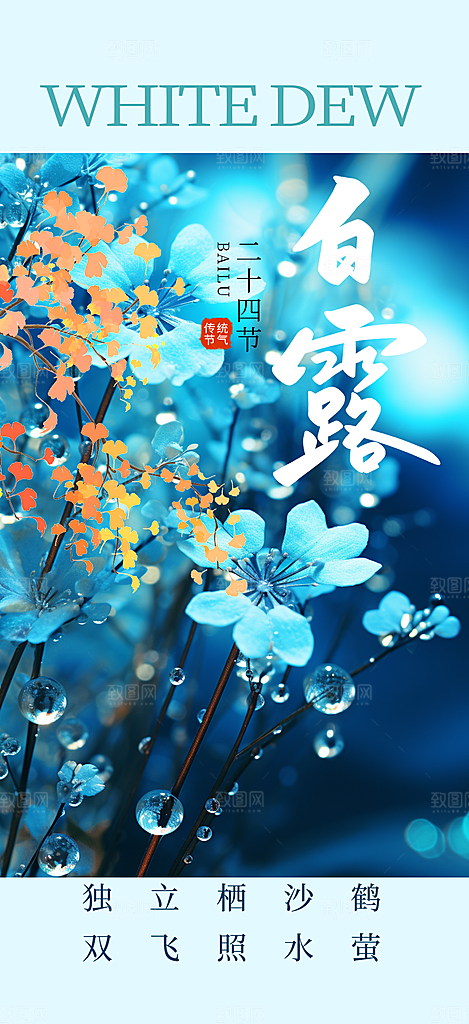 白露二十四节气海报