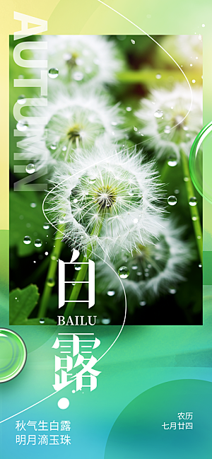 白露二十四节气海报