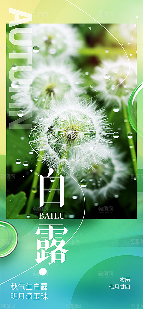 白露二十四节气海报