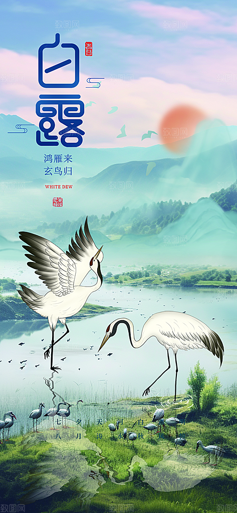 白露二十四节气海报