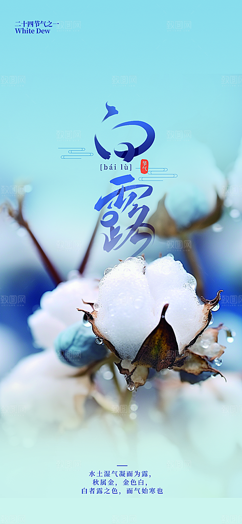 白露二十四节气海报