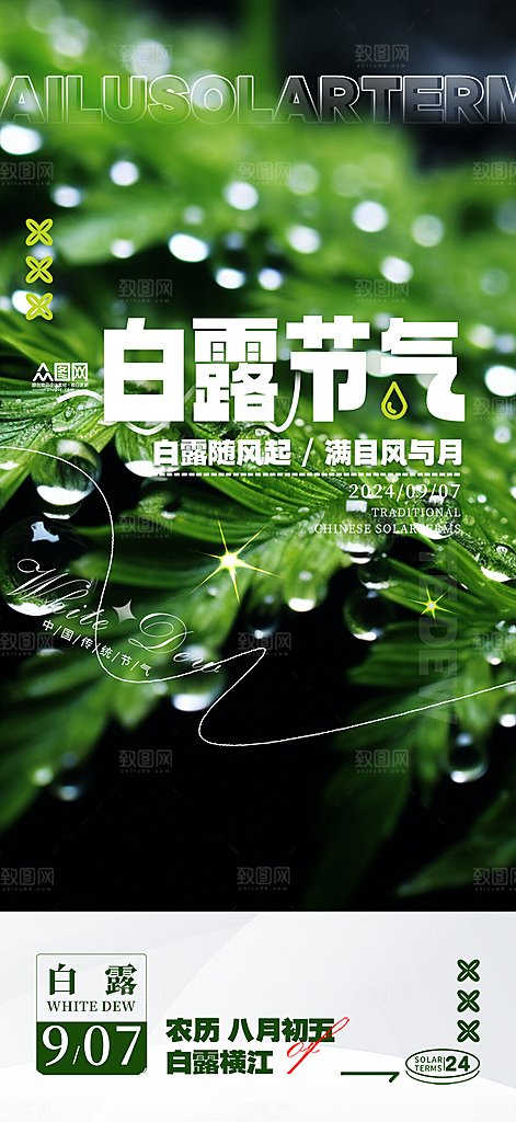 白露二十四节气海报