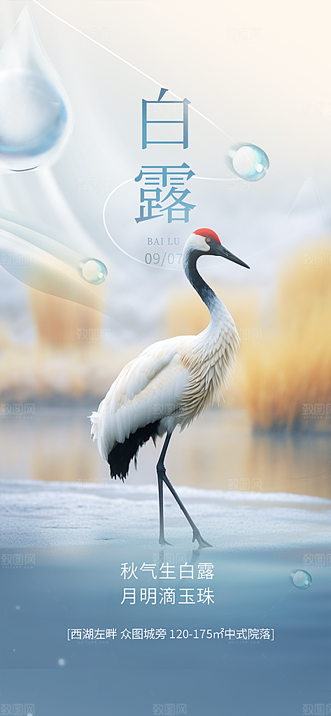 白露二十四节气海报