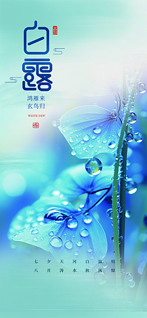 白露二十四节气海报