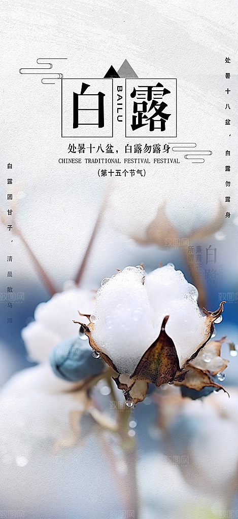 白露二十四节气海报