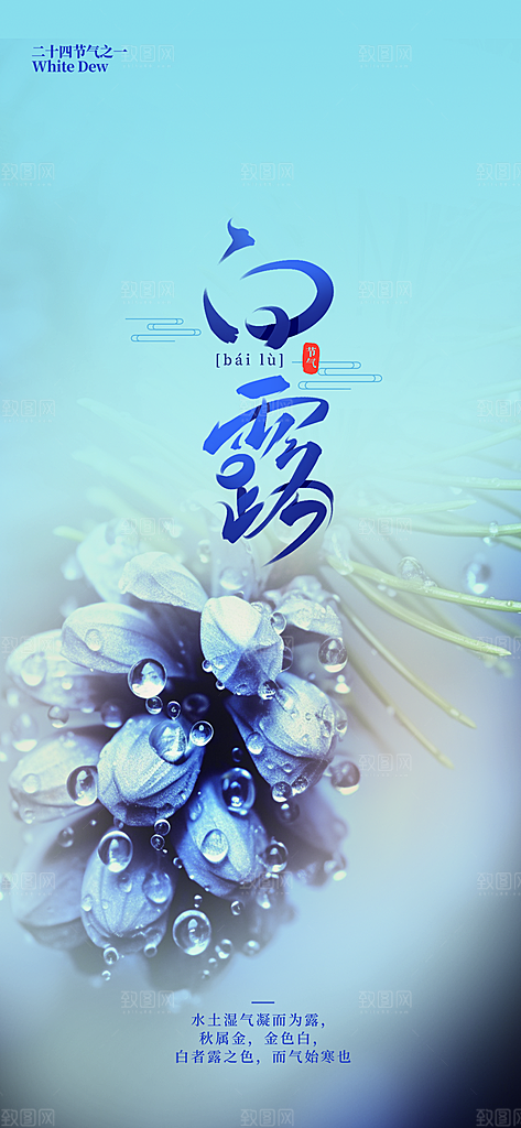 传统白露二十四节气海报