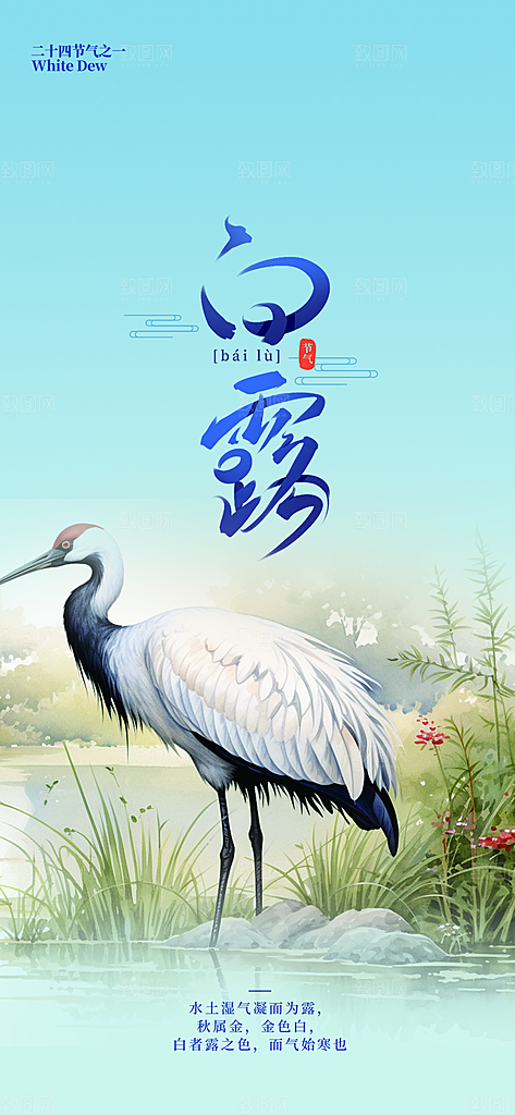传统白露二十四节气海报