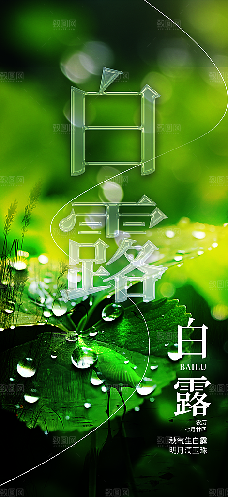 传统白露二十四节气海报