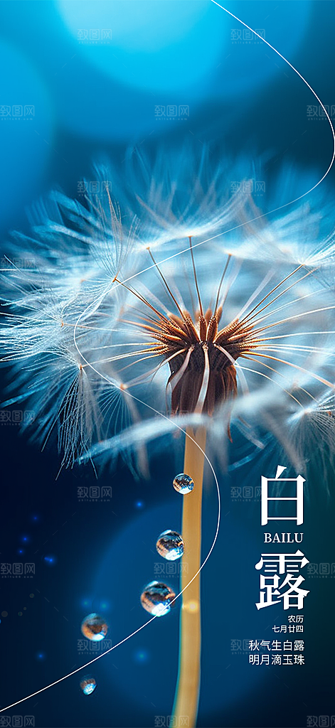 传统白露二十四节气海报